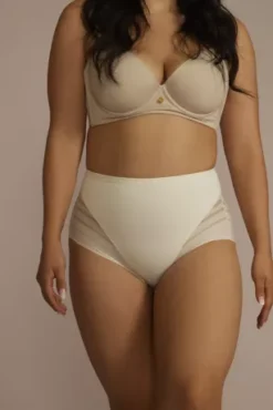 Leonisa No-Show High-Waisted Compression Brief