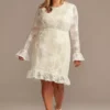 Lace Illusion Plus Short Dress With Flounce Trim -Blissful Brides Shop 9SDWG0772 MIVYCHAMP DBSTU PROD8 11