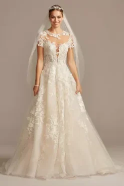 Lace Illusion Cap Sleeve Ball Gown Wedding Dress