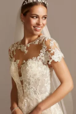 Lace Illusion Cap Sleeve Ball Gown Wedding Dress -Blissful Brides Shop CWG833 IVYSTONE OLEG PROD12 V2 079