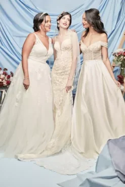 Embroidered V-Neck Wedding Dress With Tulle Skirt -Blissful Brides Shop CWG888 PDP Crop JAN12 1920x2880