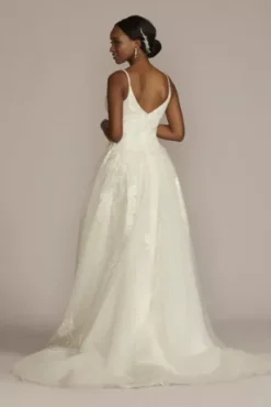 Floral Applique Drop Waist Bodice Wedding Dress -Blissful Brides Shop CWG931 IVORY OLEG PROD3 096