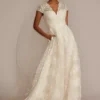 Scalloped Lace Cap Sleeve Ball Gown Wedding Dress -Blissful Brides Shop CWG935 IVYSTONE OLEG PROD3 049