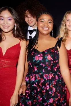 Floral Embroidered Sweetheart A-Line -Blissful Brides Shop D24NY22627 PDP Crop JAN19 1920x2880