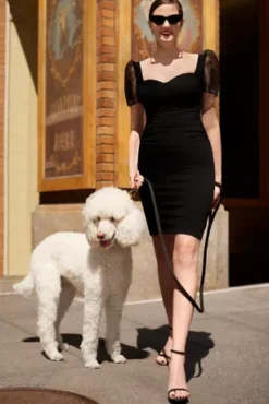 Ruched Crepe Sheath With Pindot Sleeves -Blissful Brides Shop D29NY22593 2 PDP Crop JUNE21 1920x2880