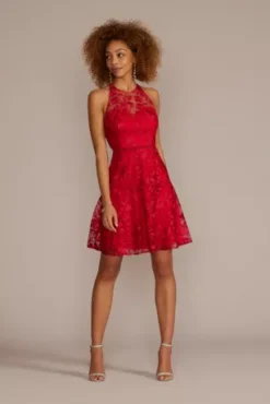 Illusion Lace Halter A-Line Dress