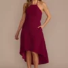 Halter Crepe High-Low Dress -Blissful Brides Shop D39NY23334V2 LIPSTK PRTY PROD3 027
