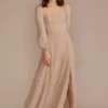 Long Sleeve Chiffon Bridesmaid Dress -Blissful Brides Shop F20617 BISCOTTI MISSY OM PROD1 007 front
