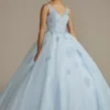 Fairytale Ballgown With Embellished Lace Applique -Blissful Brides Shop FR2103 MLTBLUE QUINCE PROD1 022