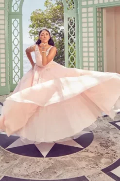 Fairytale Ballgown With Embellished Lace Applique 9 Fairytale Ballgown With Embellished Lace Applique -Blissful Brides Shop FR2103 PDP Crop JUNE21 1920x2880