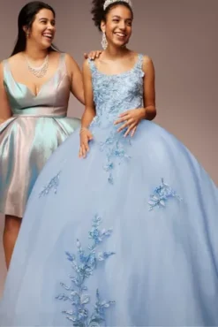 Metallic Floral Glitter Tulle Quince Ball Gown -Blissful Brides Shop FR2114 2 PDP Crop APR25 1920x2880