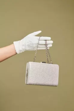 Allover Crystal Minaudiere -Blissful Brides Shop HBG7006 PDP Crop APR9 1920x2880