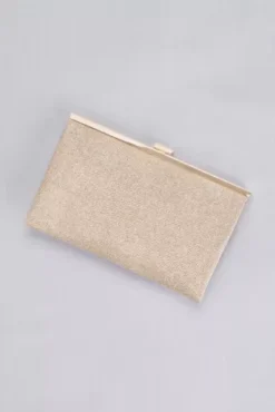 Allover Glitter Metallic Clutch