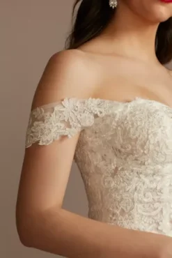 Lace Applique Detachable Swag Sleeves