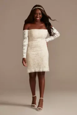 Long Sleeve Off Shoulder Stretch Lace Plus Dress