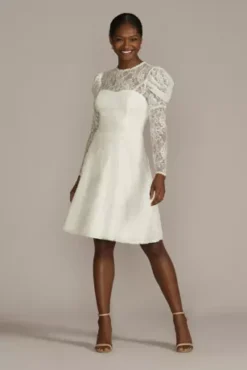 Allover Lace Puff Long Sleeve Mini Dress