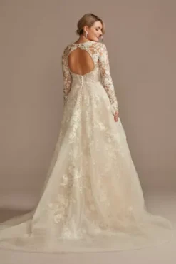 Lace Illusion Long Sleeve Ball Gown Wedding Dress -Blissful Brides Shop SLCWG833 IVYSTONE OLEG PROD12 186