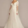 Appliqued Cap Sleeve Tulle Ball Gown Wedding Dress -Blissful Brides Shop SLWG4037 IVYCSHMR DBSTU PROD2 027
