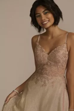 Iridescent Ball Gown With Illusion Lace Applique -Blissful Brides Shop WBM3512 DESERTCORAL PRM PROD9 787 1