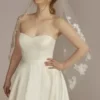 Rose-Lace Appliqued Tulle Fingertip Veil -Blissful Brides Shop WPD29953V1 IVORY VLS OM PROD2 057